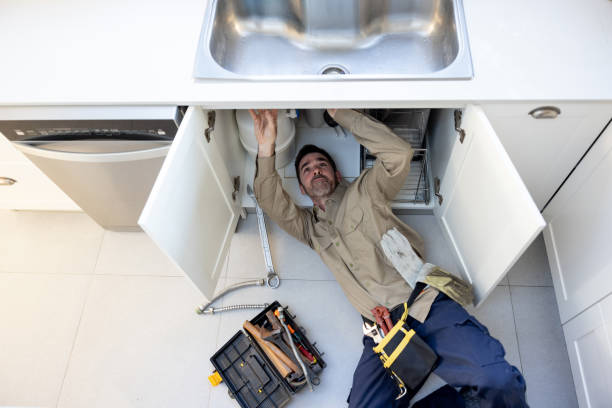 Best Local Plumber Services  in Milmay, NJ